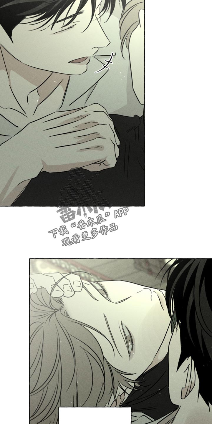 血族囚笼未婚妻详细介绍漫画,第110章：可疑人物2图