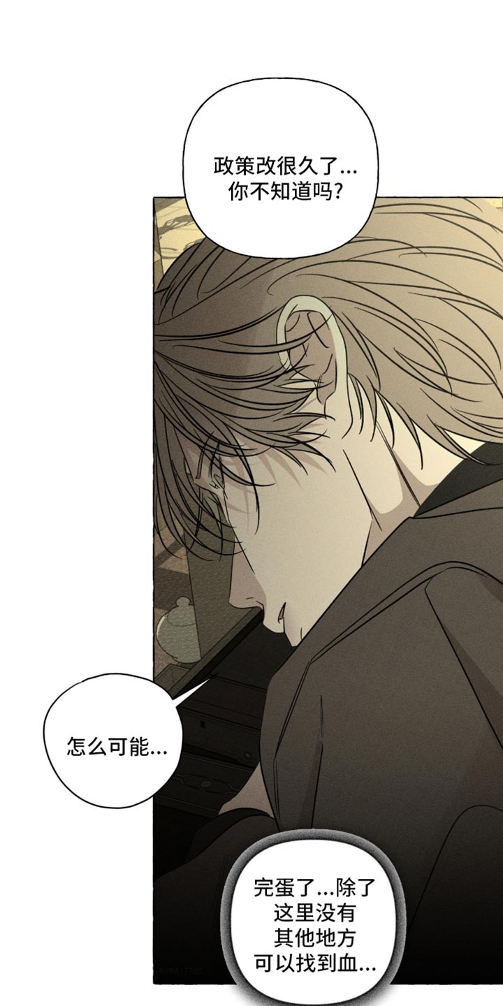 血族囚笼未婚妻详细介绍漫画,第110章：可疑人物3图