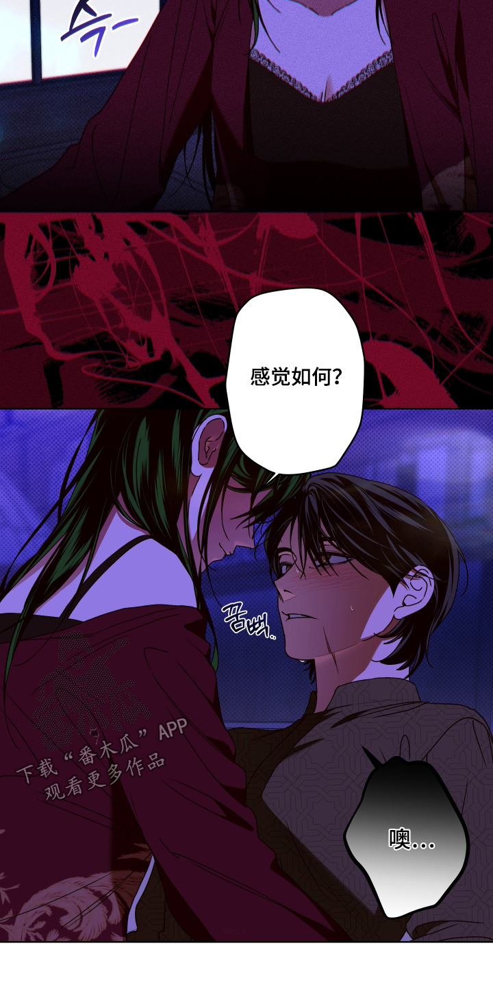 倒挂玫瑰花会枯萎吗漫画,第23章：感觉不错3图
