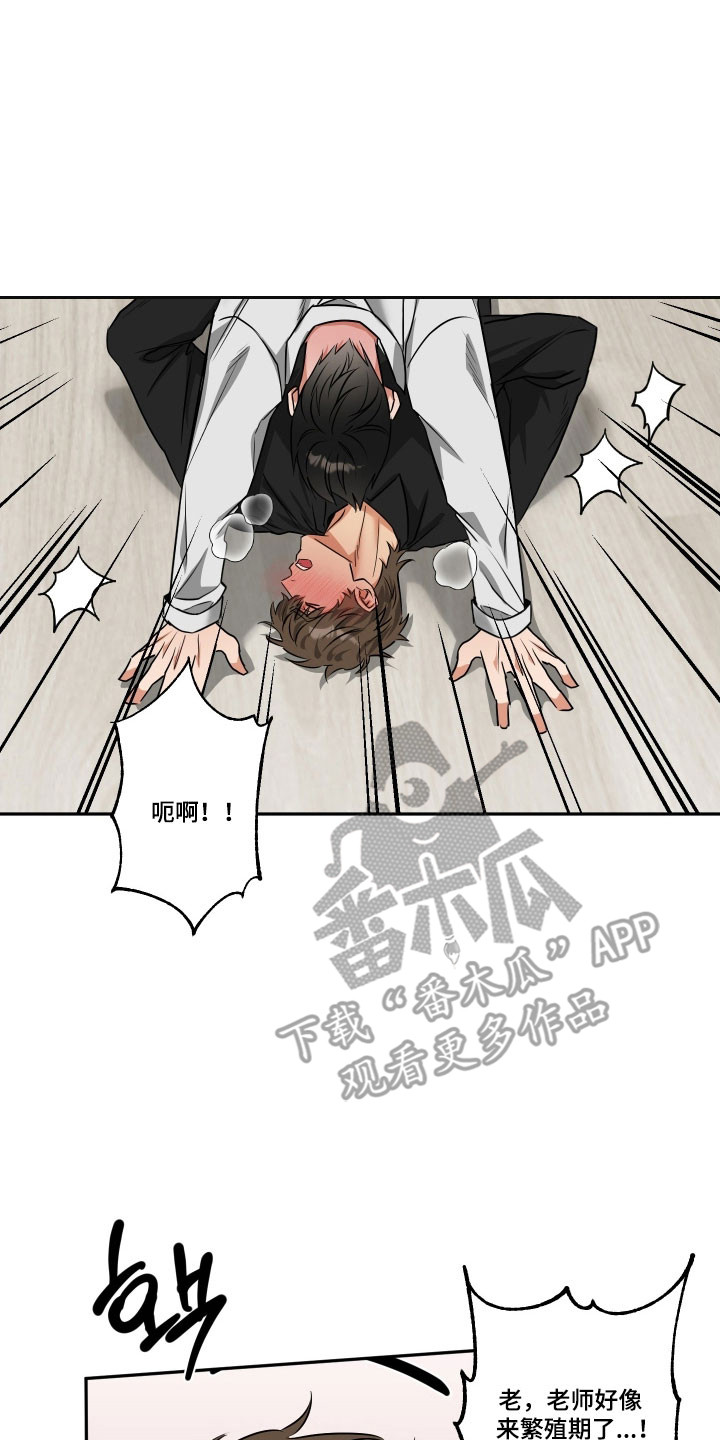 偷心发型师漫画,第66章：【第二季】强行扑倒1图