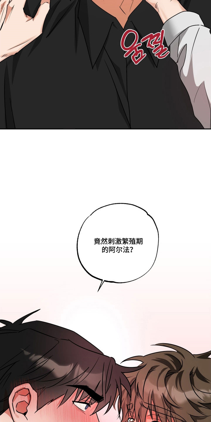 偷心发型师漫画,第68章：【第二季】特别喜好2图