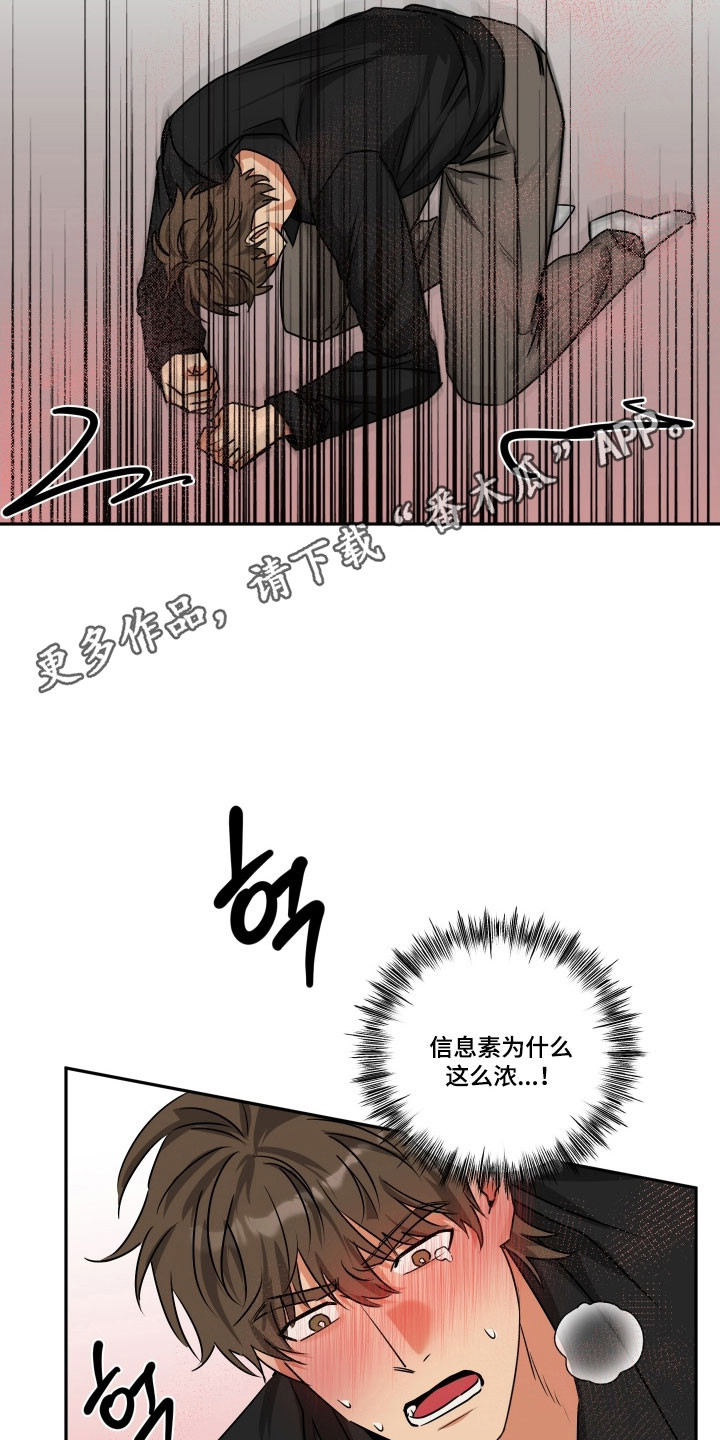 第65章：【第二季】强烈信息素2
