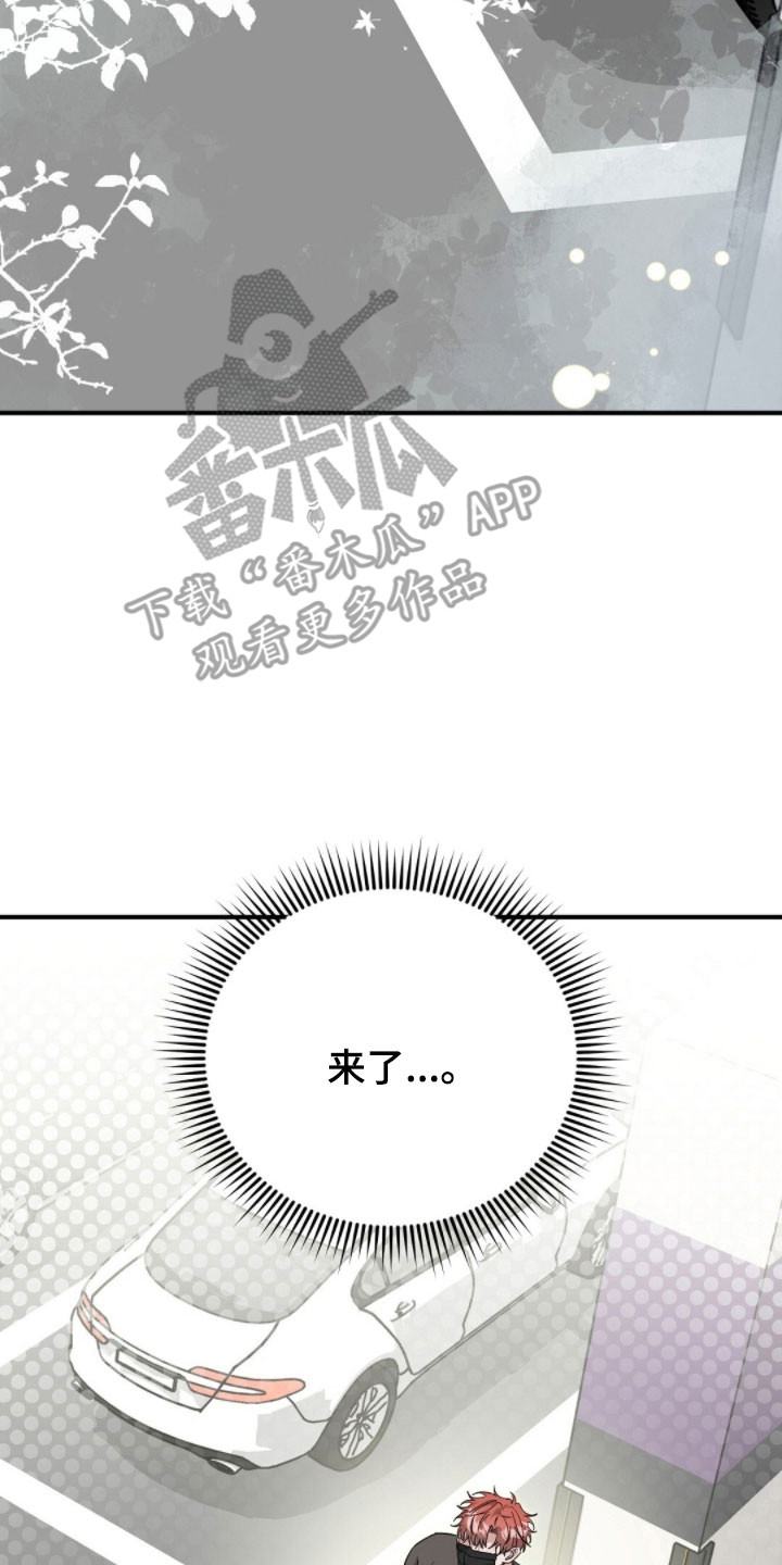 摘下星星送给你漫画,第95章：视频花絮5图