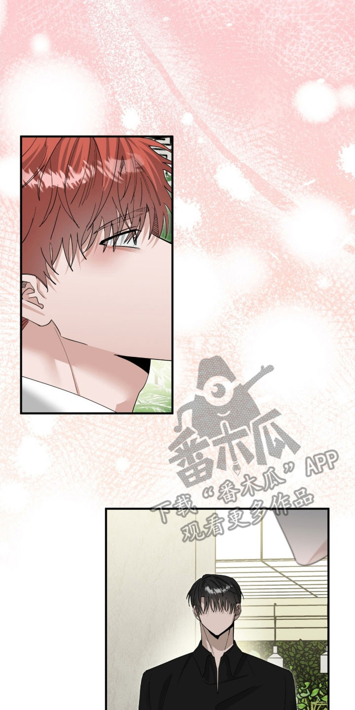 摘下星星送给你漫画,第88章：等待相见3图