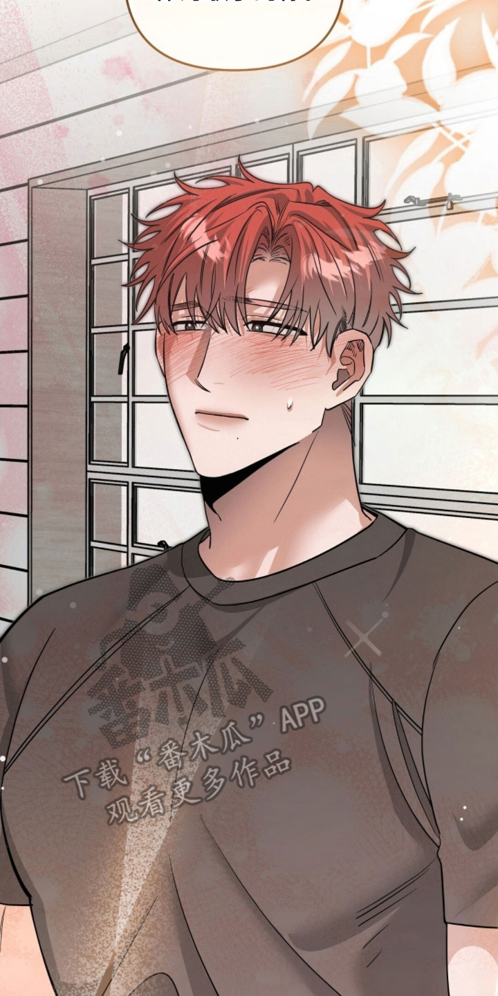 摘下星星送给你漫画,第94章：签名会结束1图