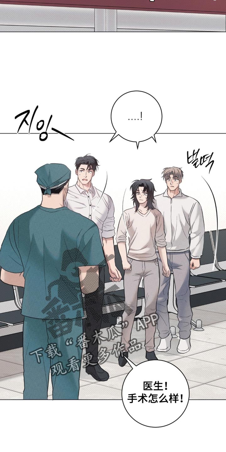 迟来的伴侣漫画,第80章：【番外】我已经做好了觉悟5图