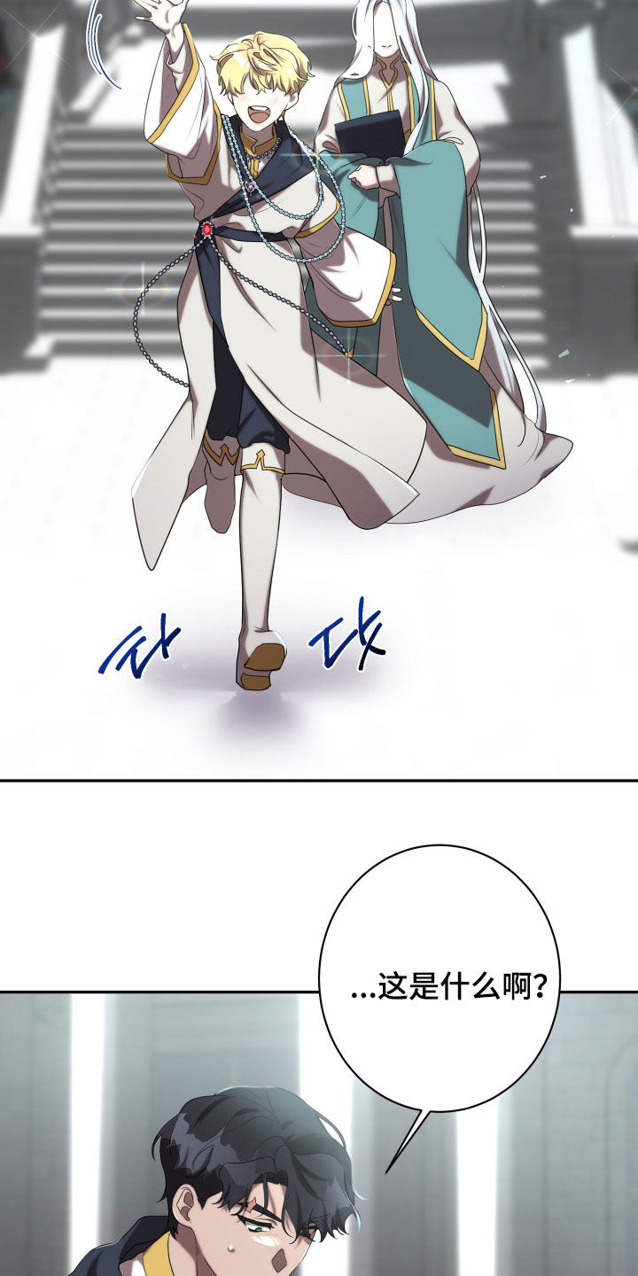 第66章：光荣勋章4