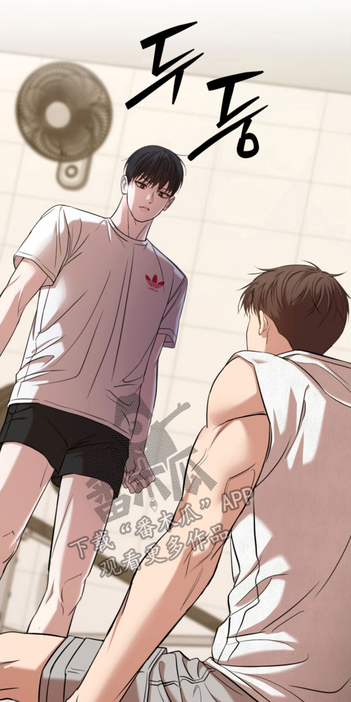 命运击绊漫画,第35章：歌剧院蛋糕5图