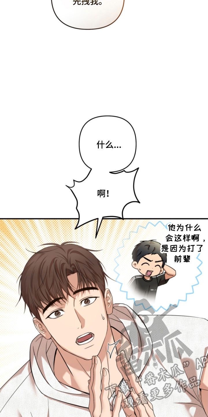 命运击绊漫画,第35章：歌剧院蛋糕3图