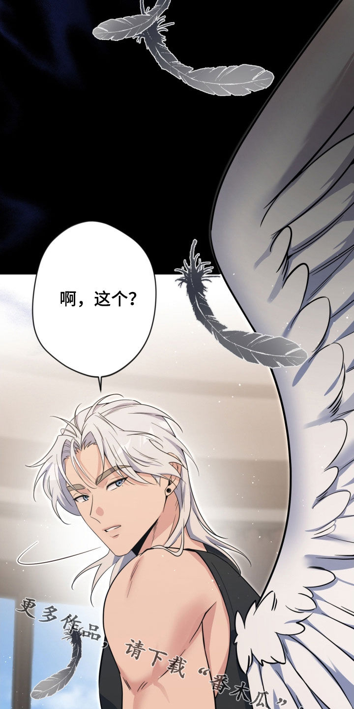 天使圣王最美图片漫画,第96章：【第二季】依旧拒绝5图