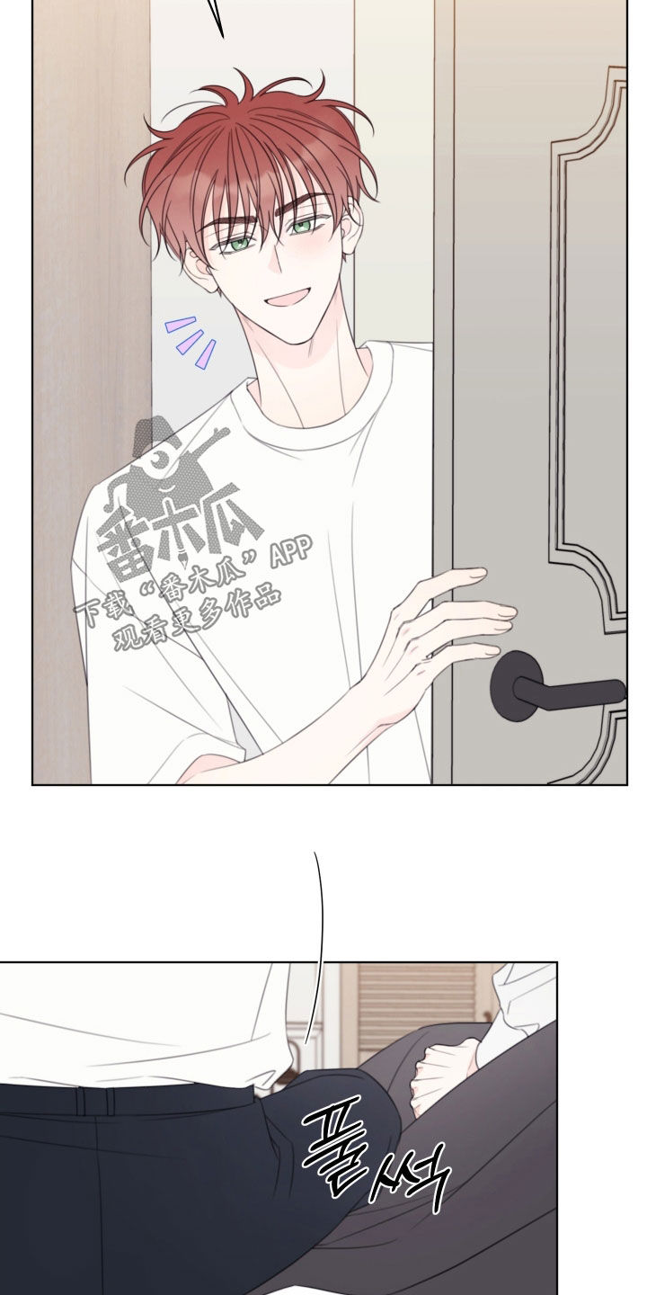 被强行契约之后漫画在线看漫画,第88章：【第二季】不用你操心3图