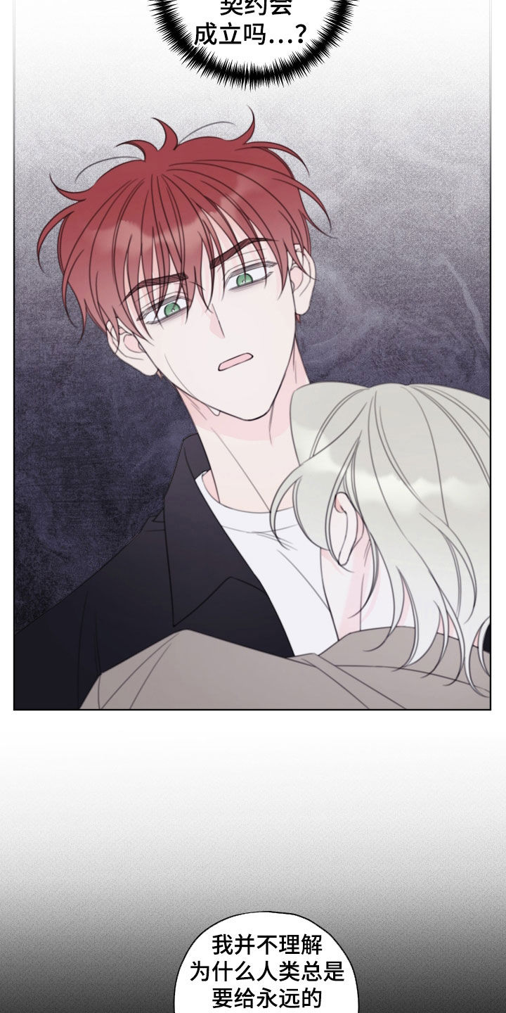 被强行契约之后漫画,第94章：【第二季】怎么办5图