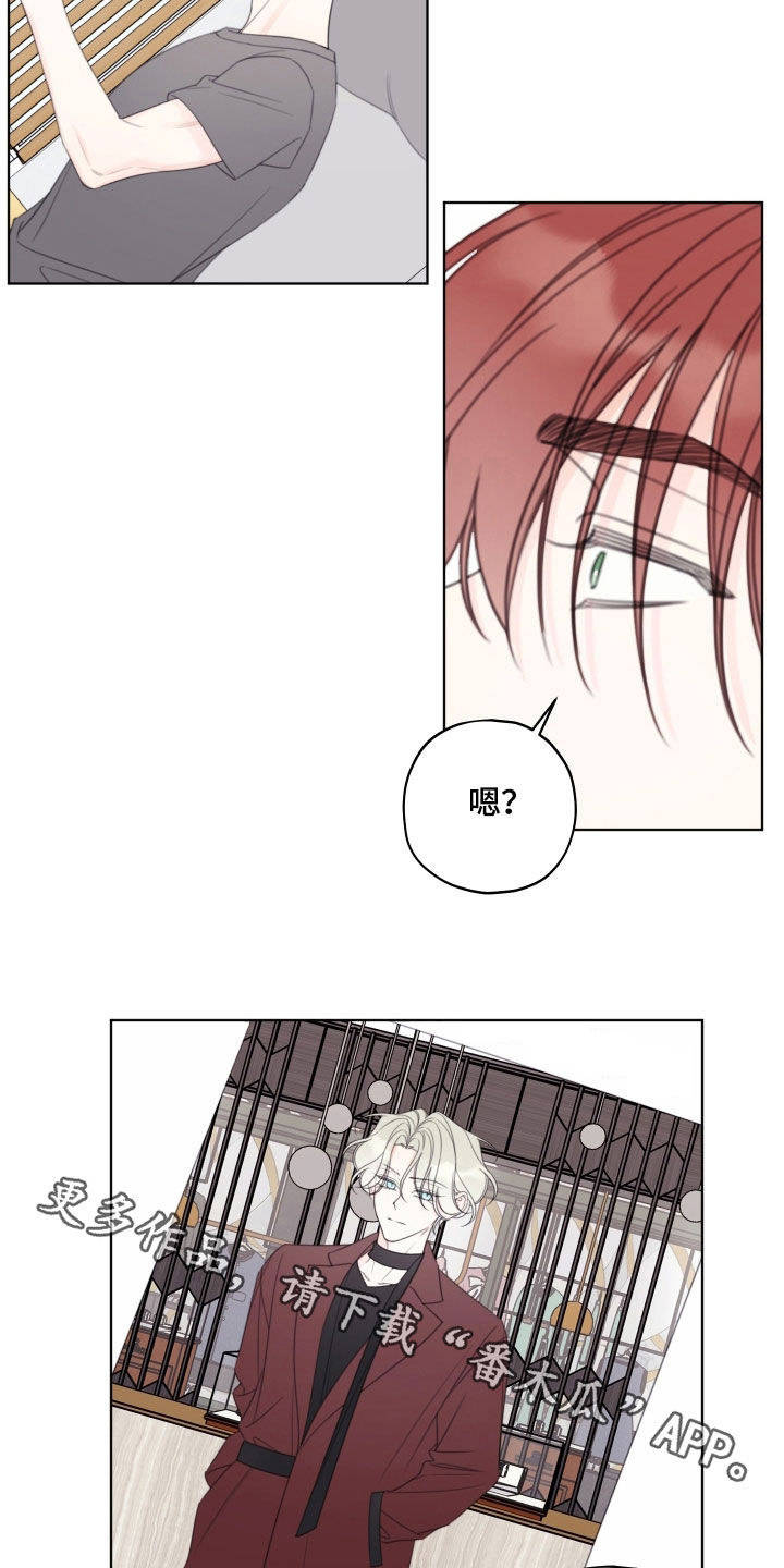 漫画漫画,第98章：【第二季】搬家4图