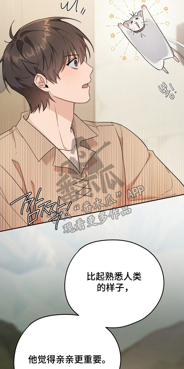 我的仓鼠游戏在哪里下载漫画,第26章：价值奖励5图