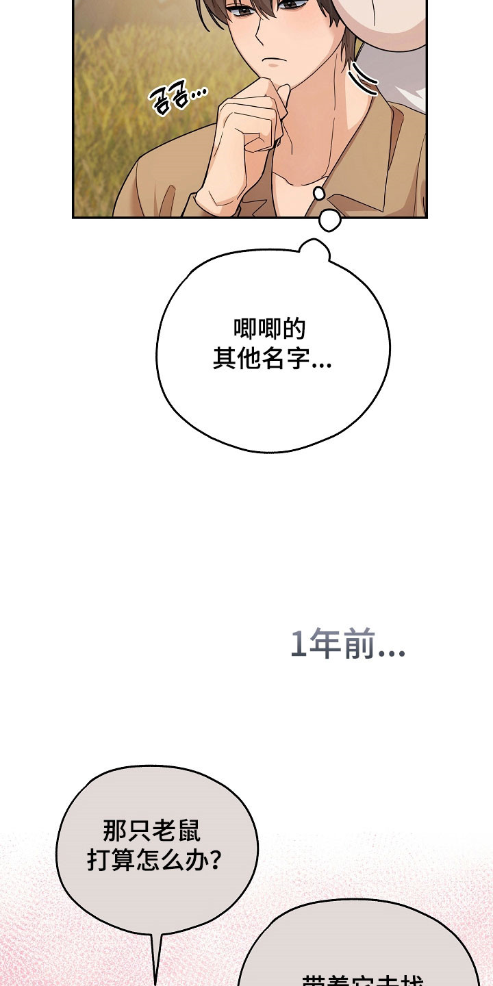 我的仓鼠外挂漫画,第24章：区域选择5图