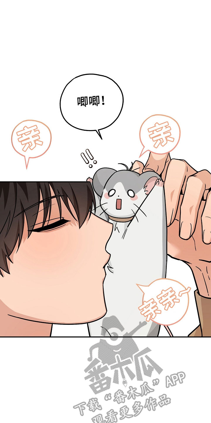 我的仓鼠无限金币中文版漫画,第30章：低调形事5图