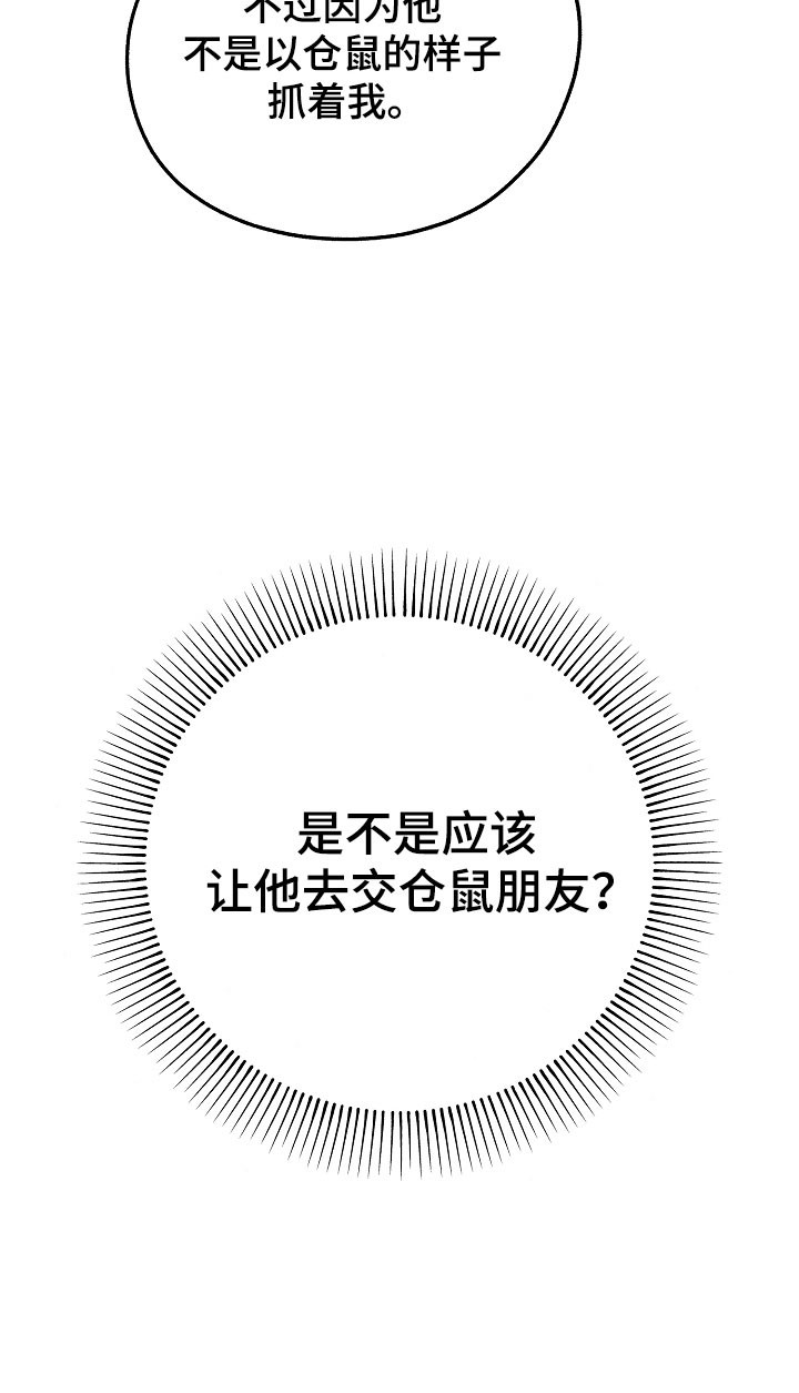 我的仓鼠朋友六漫画,第26章：价值奖励4图