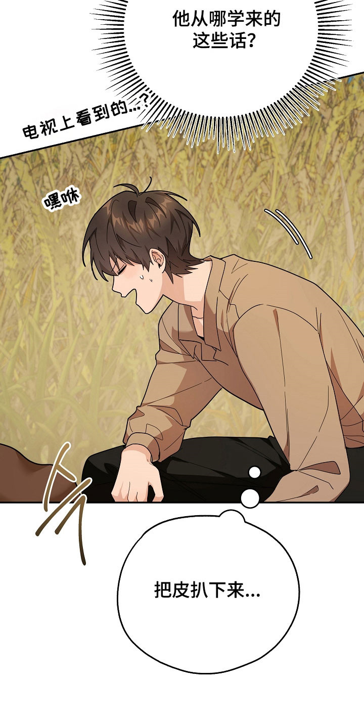 我的仓鼠游戏破解版漫画,第24章：区域选择4图