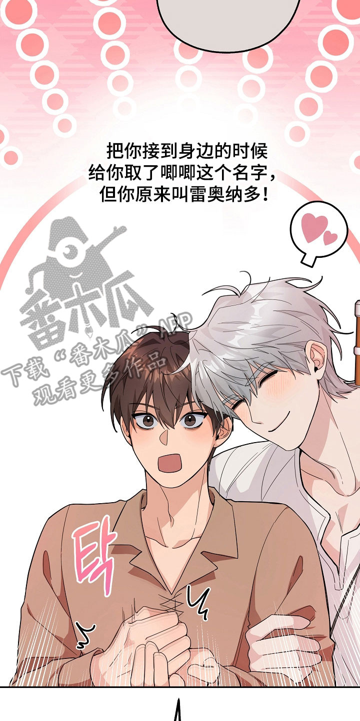 我的仓鼠外挂漫画,第24章：区域选择2图