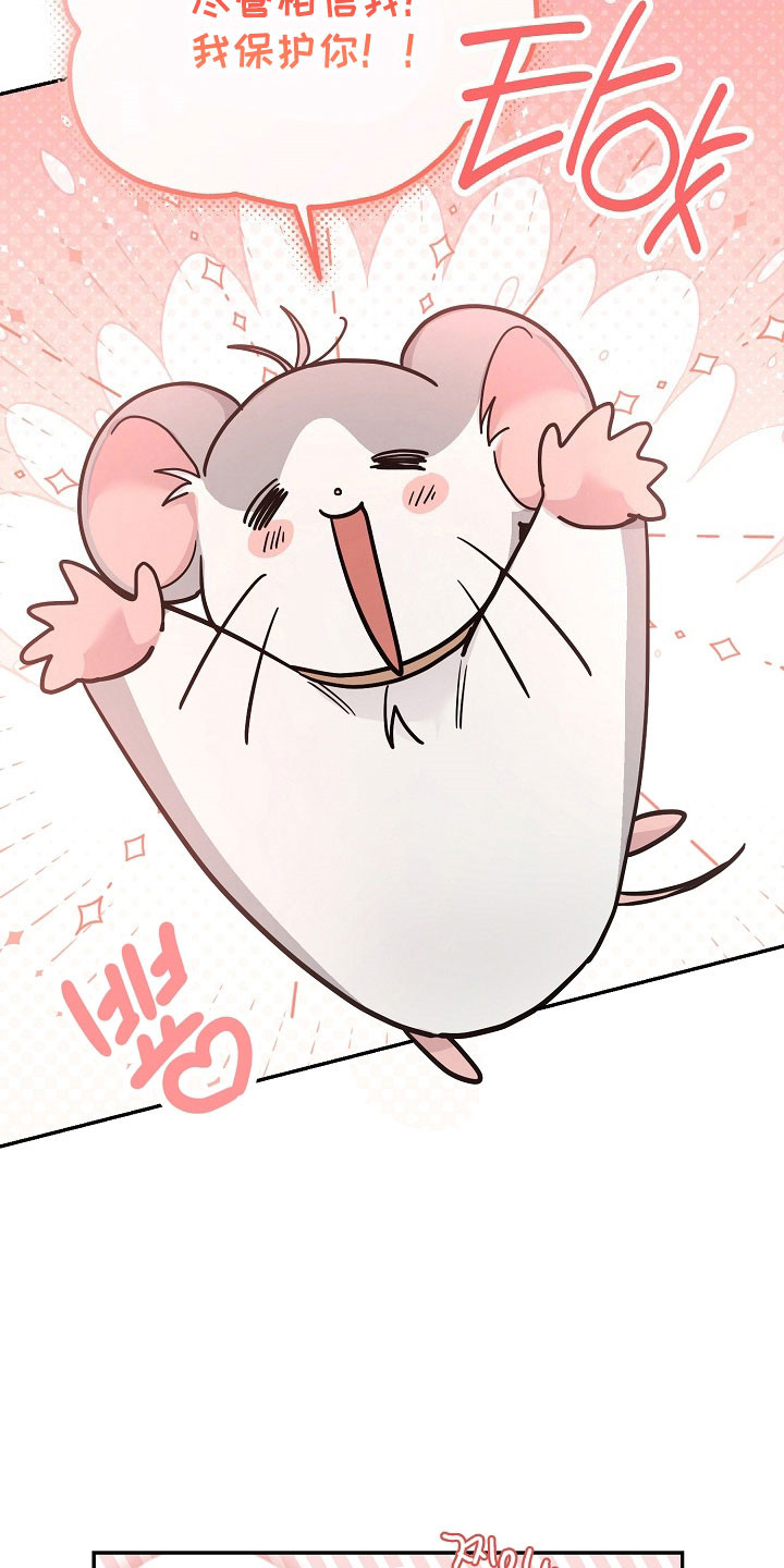 我的仓鼠游戏破解版漫画,第32章：绑架计划5图