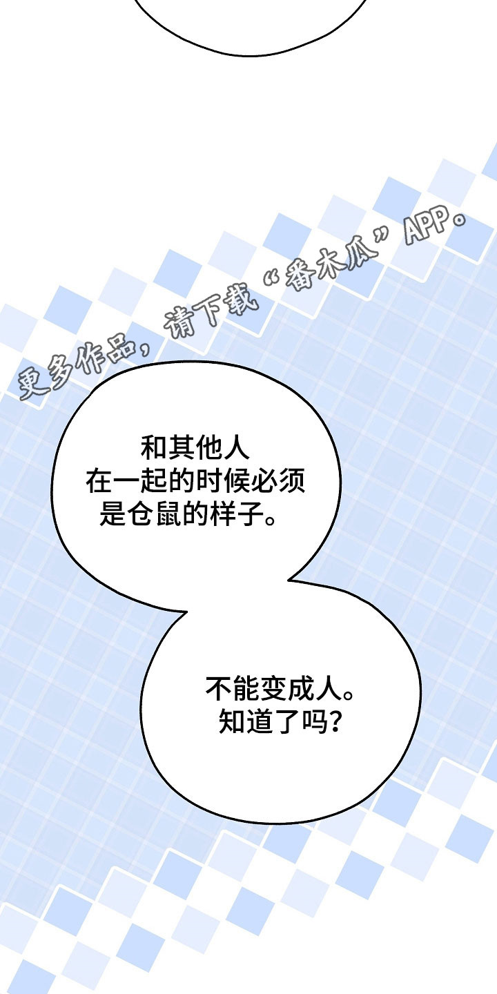 我的仓鼠游戏破解版漫画,第30章：低调形事1图