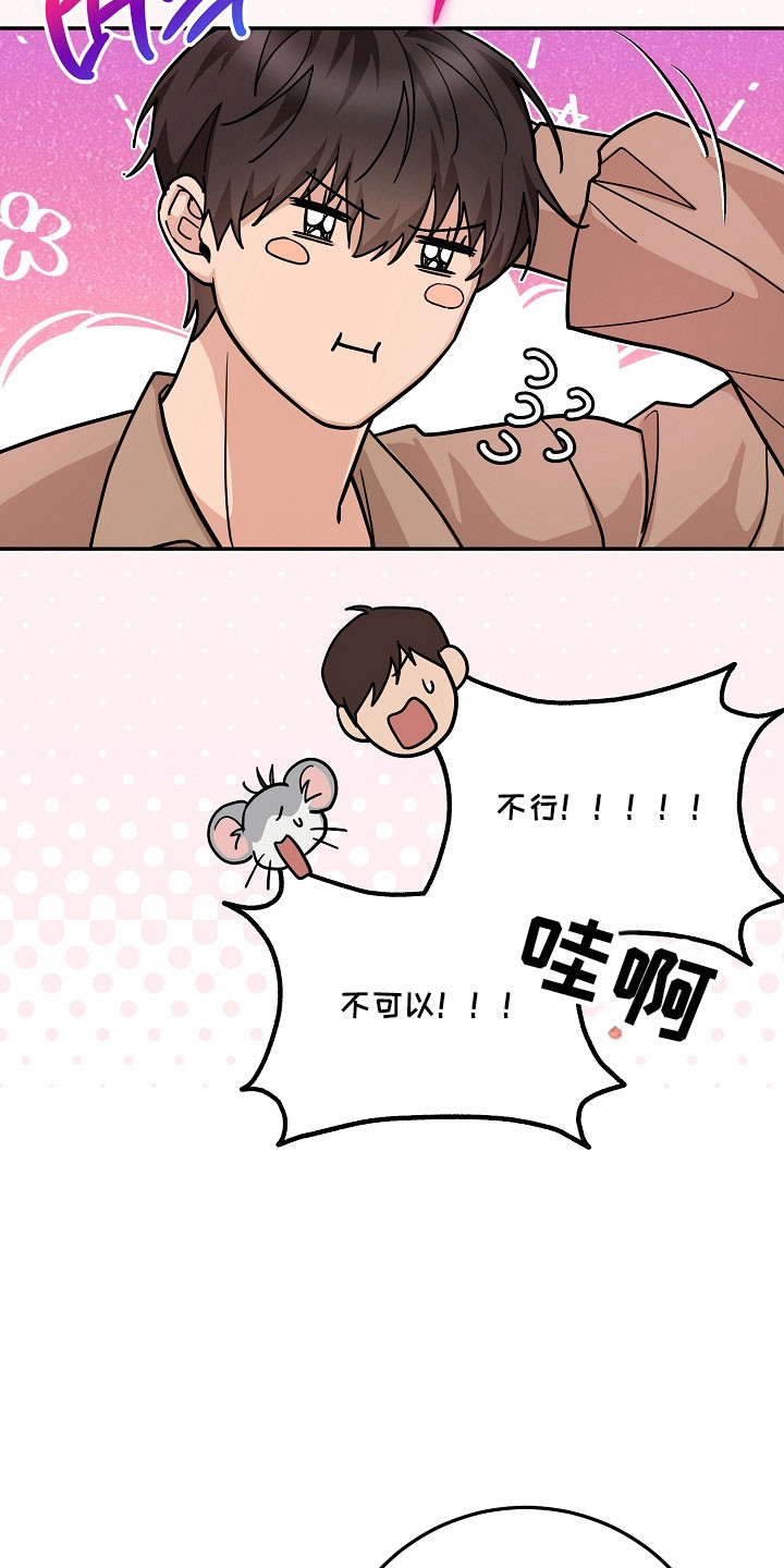 我的仓鼠外挂漫画,第32章：绑架计划4图