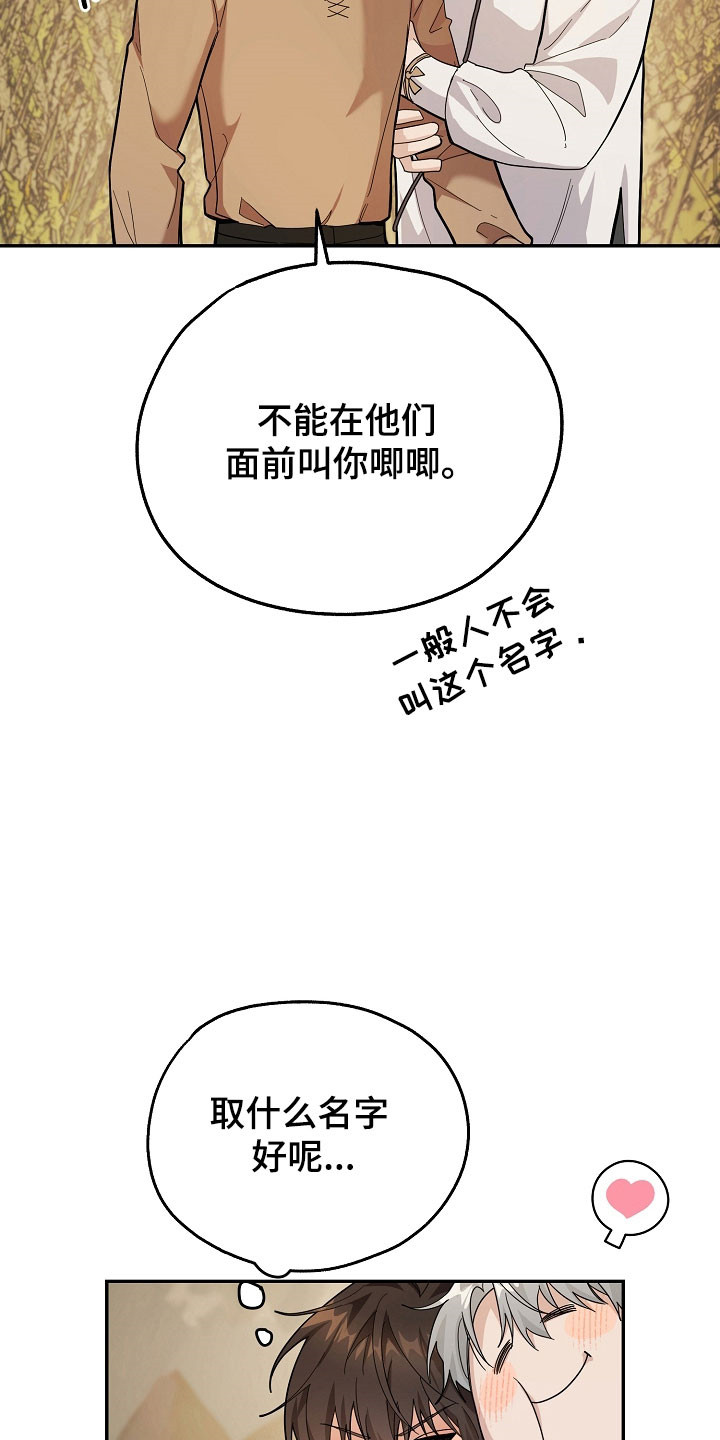 我的仓鼠外挂漫画,第24章：区域选择4图