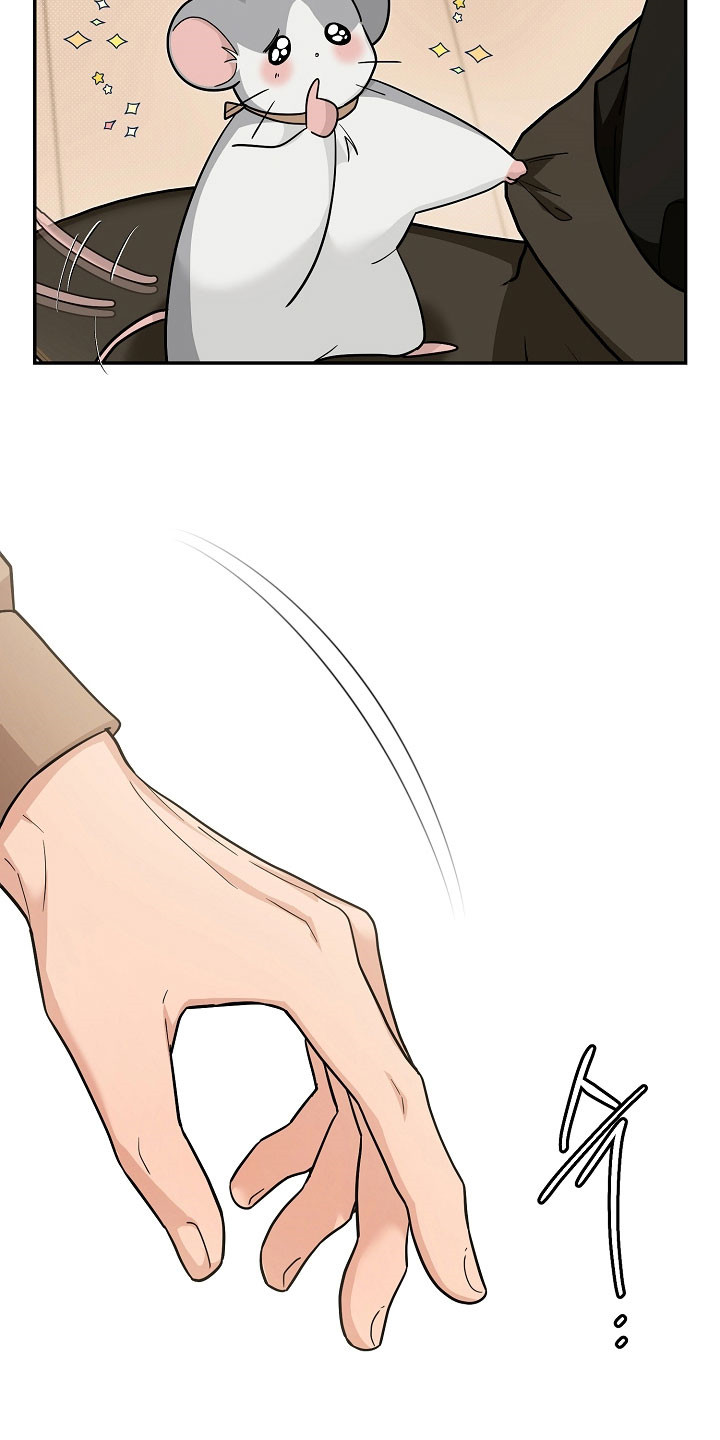 我的仓鼠无限金币中文版漫画,第30章：低调形事4图