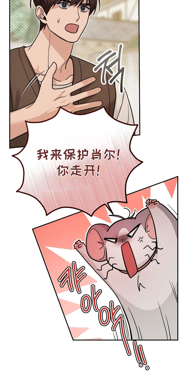我的仓鼠外挂漫画,第32章：绑架计划2图