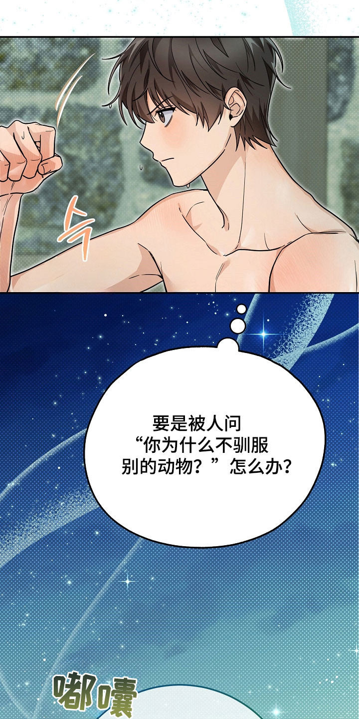 我的仓鼠无限金币中文版漫画,第30章：低调形事5图