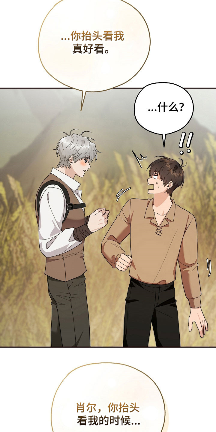 我的仓鼠作文700字漫画,第26章：价值奖励3图