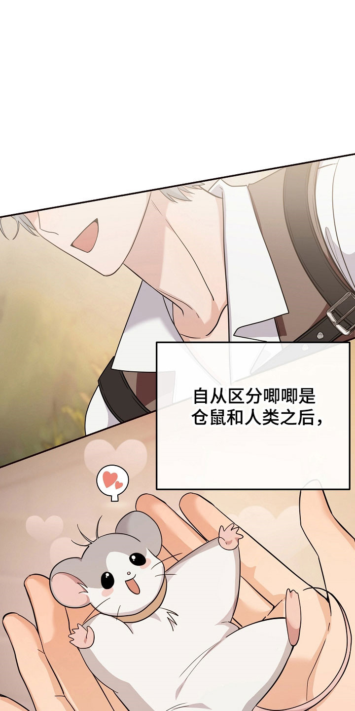 我的仓鼠无限金币中文版漫画,第26章：价值奖励2图