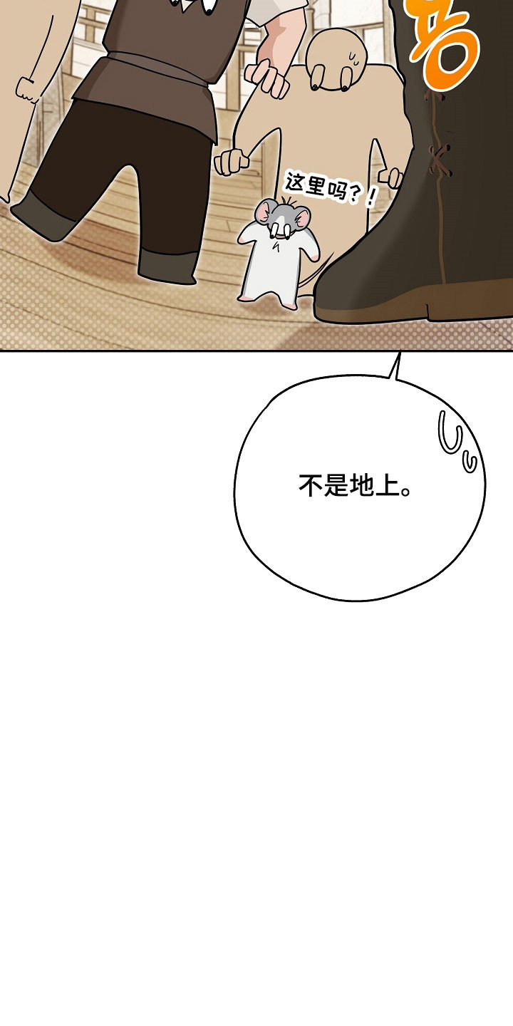 我的仓鼠游戏在哪里下载漫画,第33章：绑架陷阱3图