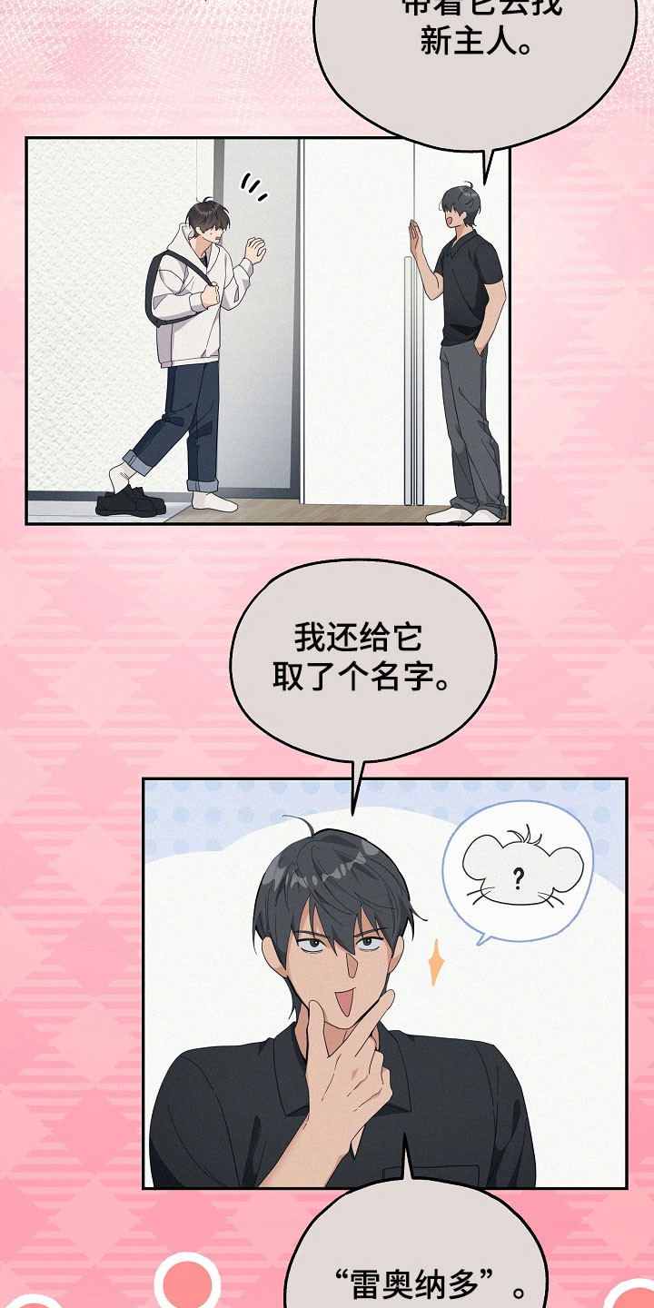 我的仓鼠外挂漫画,第24章：区域选择1图