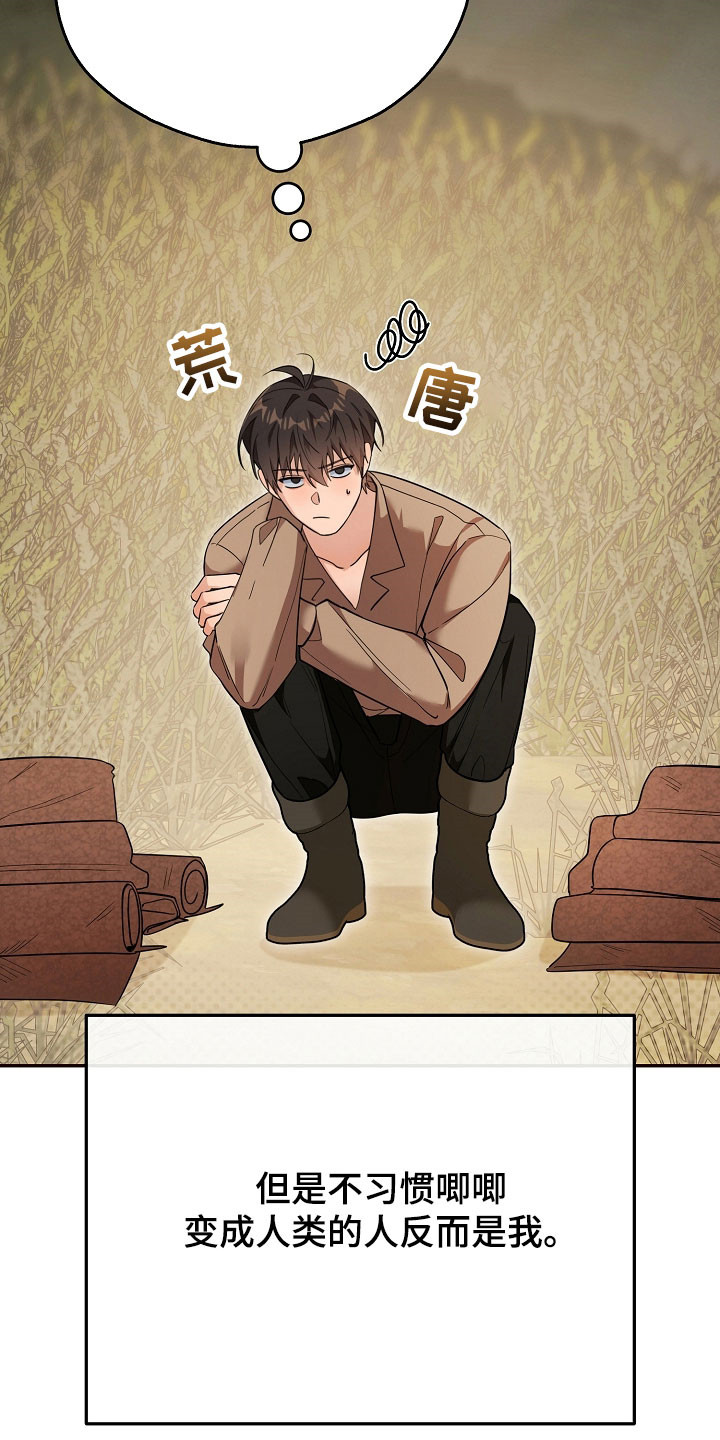 我的仓鼠无限金币中文版漫画,第26章：价值奖励1图