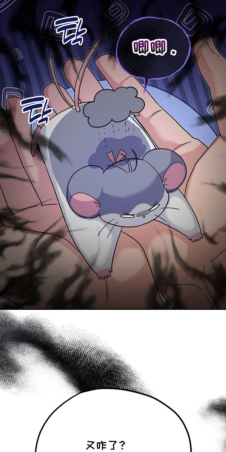 我的仓鼠游戏破解版漫画,第29章：通缉令5图