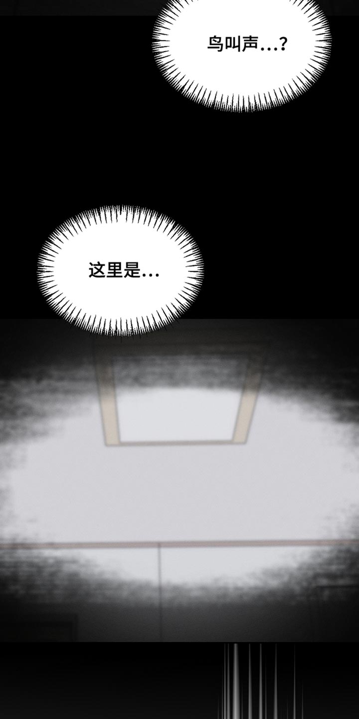 白鸟奇遇记漫画下拉式漫画,第133章：【第二季】小说结局4图