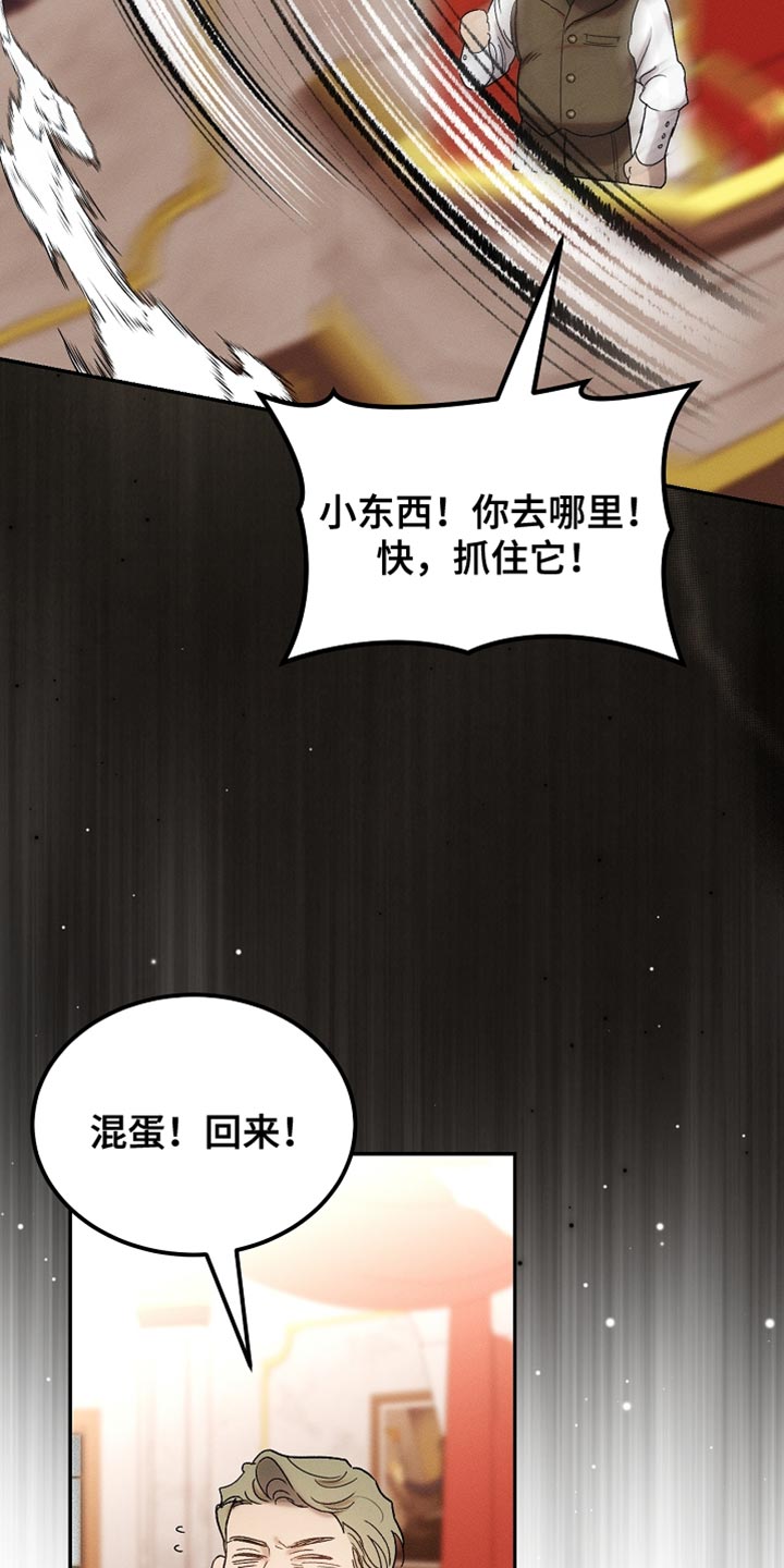 白鸟奇遇记(下拉式)最新章节漫画,第132章：【第二季】单纯的眼神1图