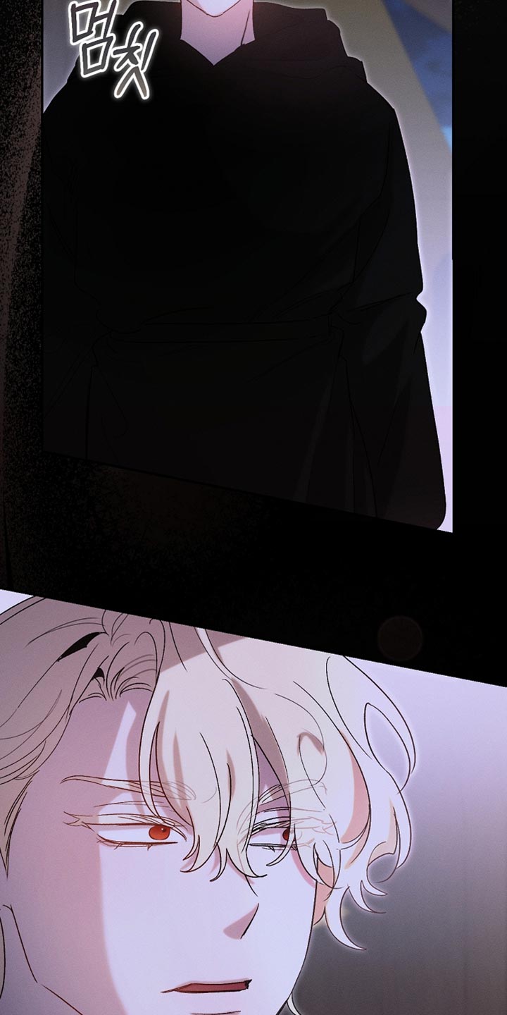 白鸟奇遇记漫画,第131章：【第二季】随时都可以消失1图