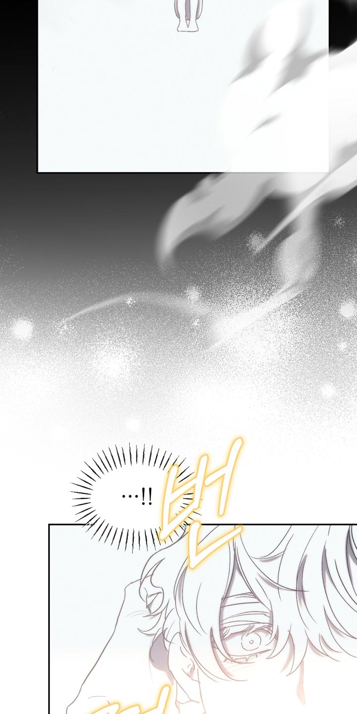 白鸟奇遇记漫画,第130章：【第二季】拍卖会2图