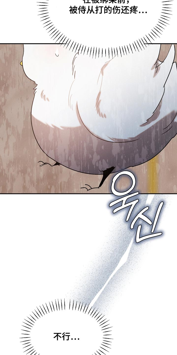 白鸟奇遇记(下拉式)最新章节漫画,第132章：【第二季】单纯的眼神4图