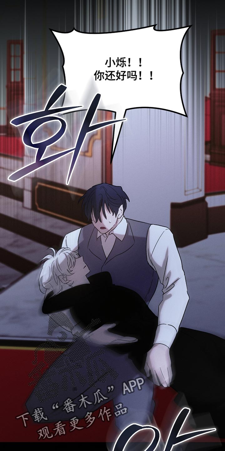 白鸟奇遇记漫画下拉式漫画,第133章：【第二季】小说结局4图