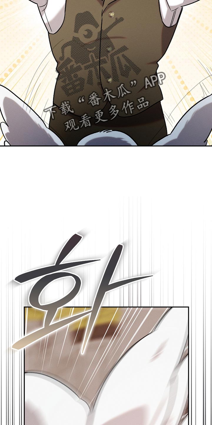 白鸟奇遇记漫画全集漫画,第132章：【第二季】单纯的眼神3图