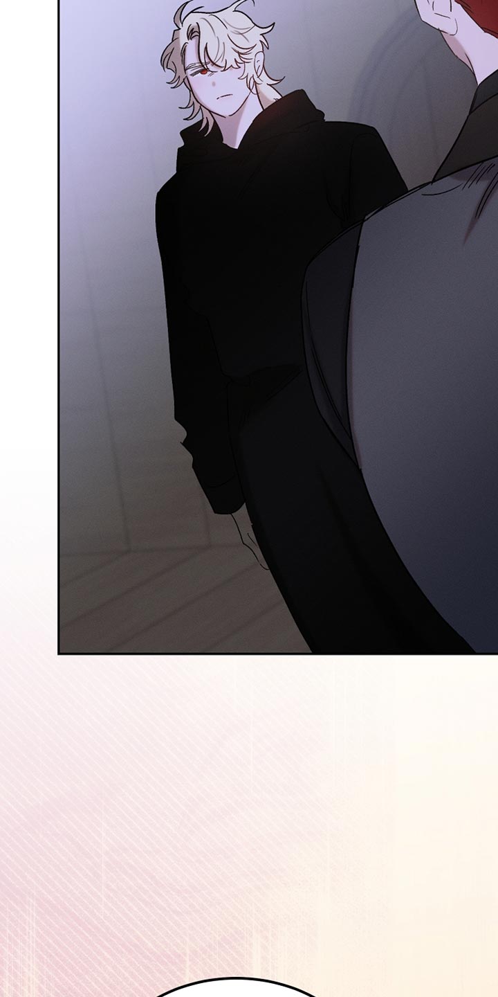 白鸟奇遇记下拉漫画漫画,第131章：【第二季】随时都可以消失4图