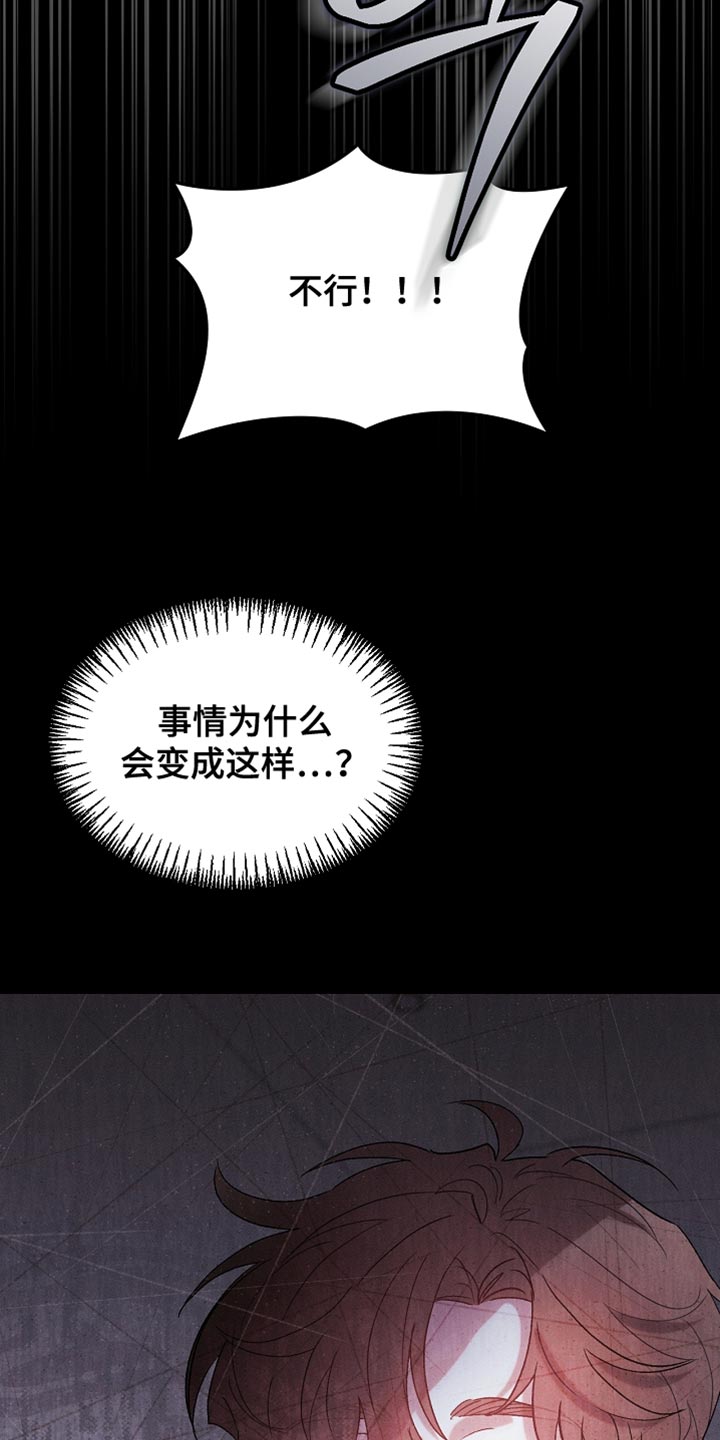 白鸟奇遇记漫画,第130章：【第二季】拍卖会4图