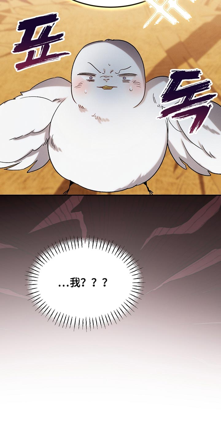 白鸟奇遇记漫画全集漫画,第132章：【第二季】单纯的眼神2图