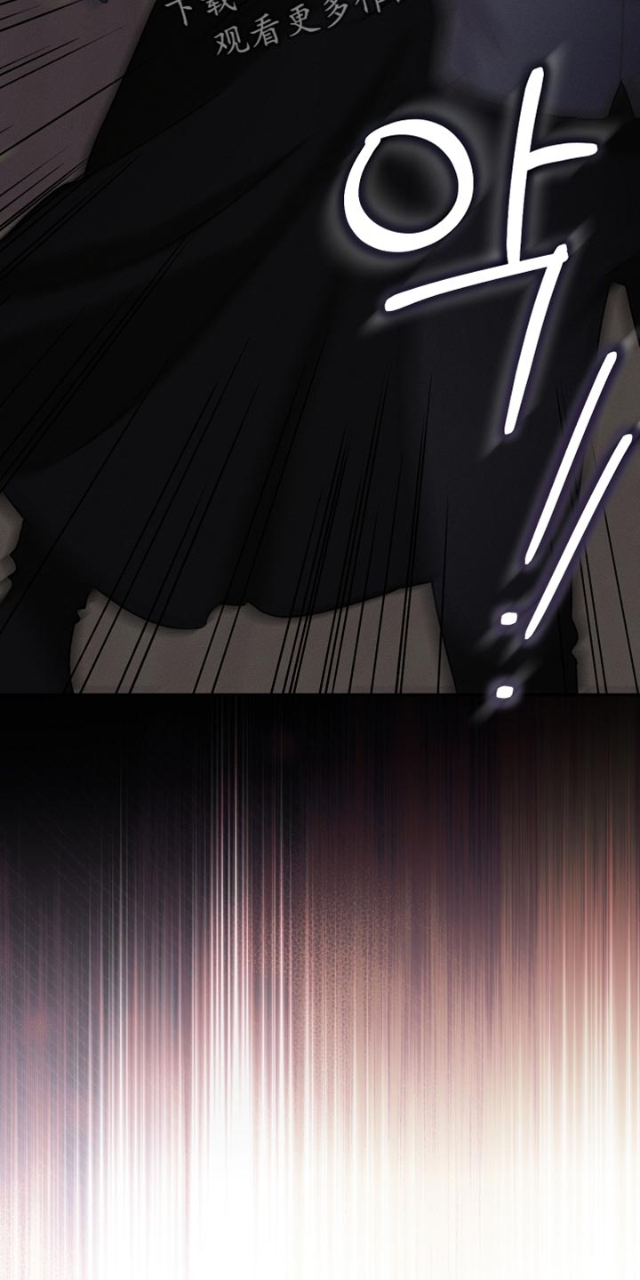 白鸟奇遇记下拉漫画漫画,第131章：【第二季】随时都可以消失2图