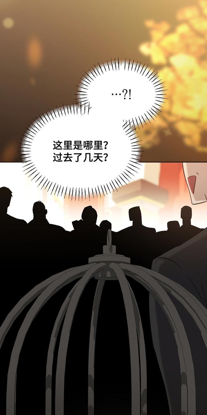 白鸟奇遇记免费全集下拉式漫画,第130章：【第二季】拍卖会1图