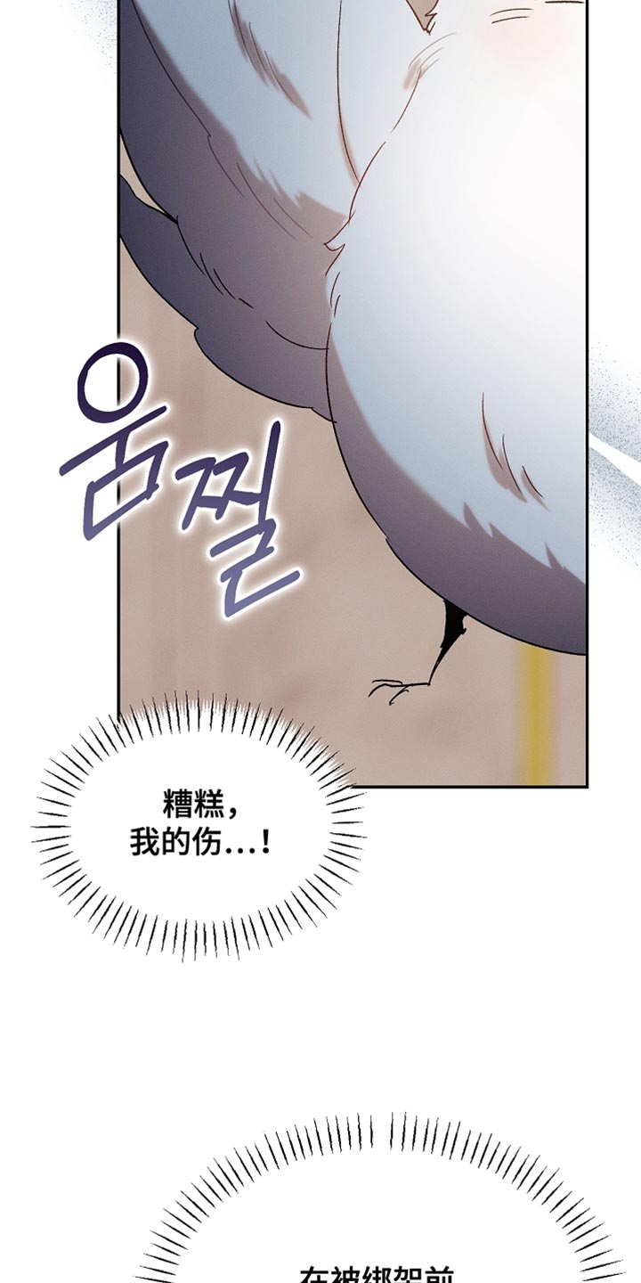 白鸟奇遇记(下拉式)最新章节漫画,第132章：【第二季】单纯的眼神3图