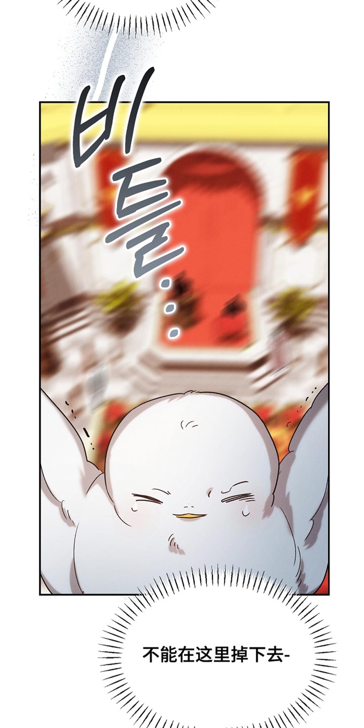 白鸟奇遇记(下拉式)最新章节漫画,第132章：【第二季】单纯的眼神5图